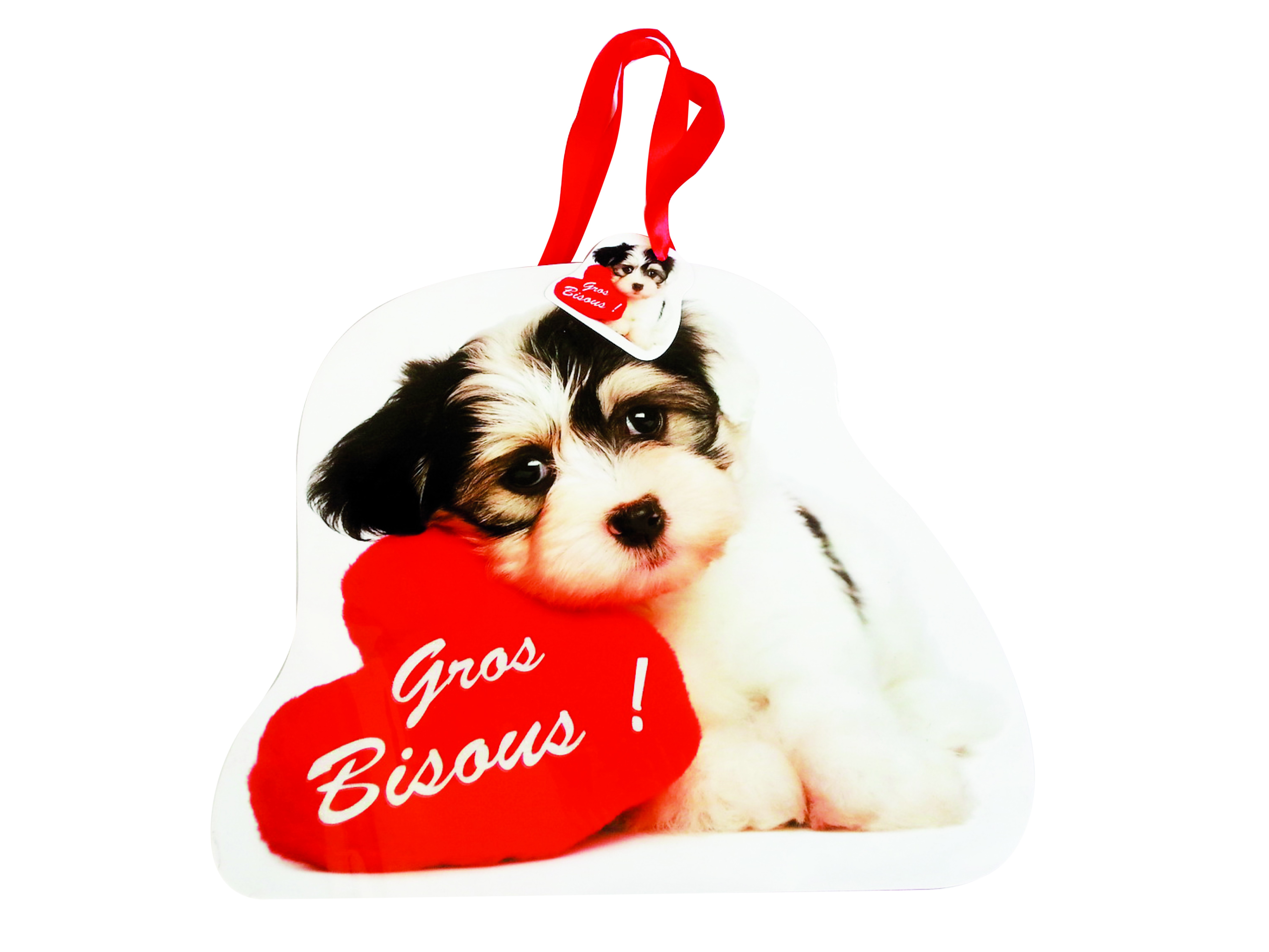 Lot De 2 Pochettes Sacs Cadeau Gros Bisous Chien